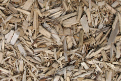 biomass boilers Trevarren