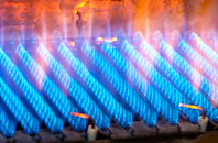 Trevarren gas fired boilers